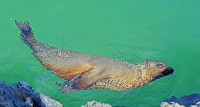 /album/animaux/imgp7947sw-jpg1/