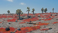 /album/paysages/imgp798sw-jpg1/