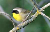 /album/nouvelles-photos/0f0a5203sw-modifie-1-jpg/