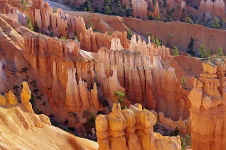 Paysage Bryce Canyon Utah (85)