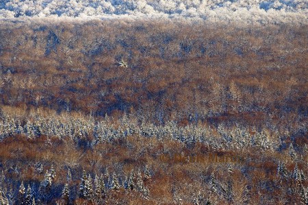 Montagne en hiver Québec (93)